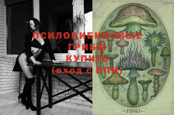 не бодяженный Гусев